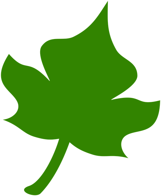 Leaf (720x720)