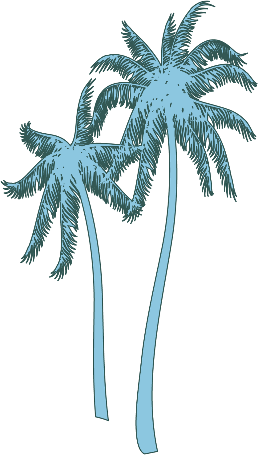Coconut Tree - Coconut Tree (1000x1592)