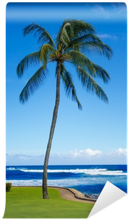 Kauai (400x400)