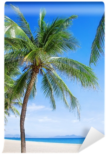 Caribbean (400x400)