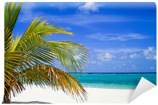 Caribbean (400x400)