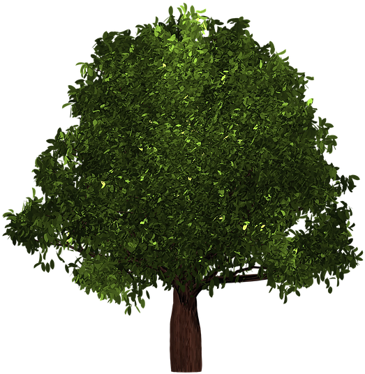 Tree (615x640)
