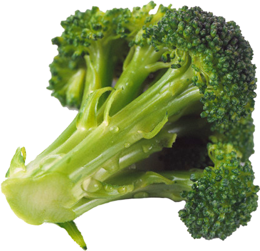 Fontes De Antioxidantes (600x607)