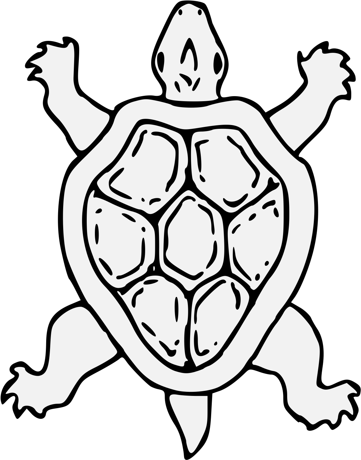 Tortoise - Art (1162x1466)