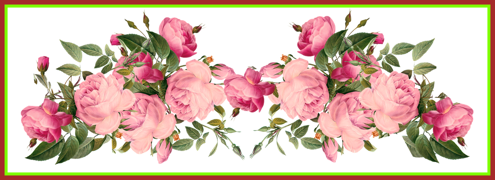 Shocking Pink Rose Transparent Floral Image For Red - Flower Vintage Border Png (1650x601)