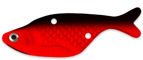 Distributor Information - Bait Fish (768x480)