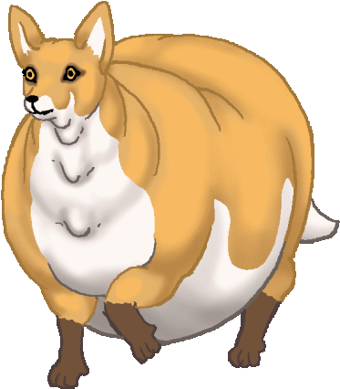 Fat Fox Walk - Swift Fox (554x558)