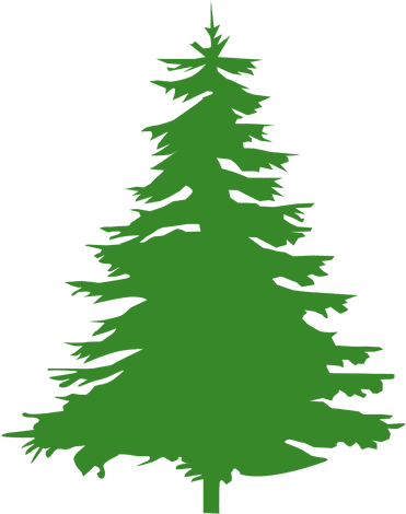 Pine Tree Silhouette - Tree (512x512)