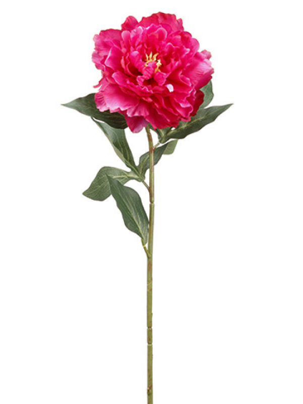 26" Peony Spray Rubrum - Carnation (800x800)
