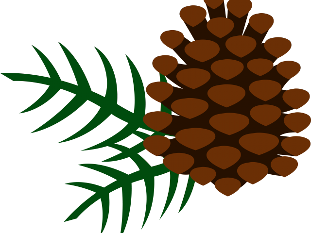 Pine Clipart Corn - Pine Clipart (640x480)