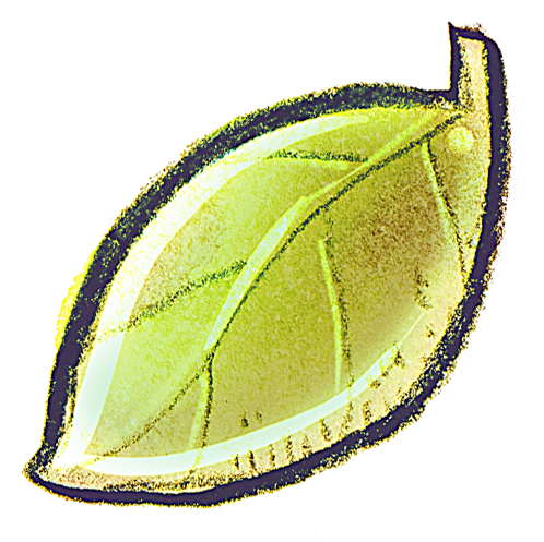 G12 Blatt Symbol - Icon (512x512)