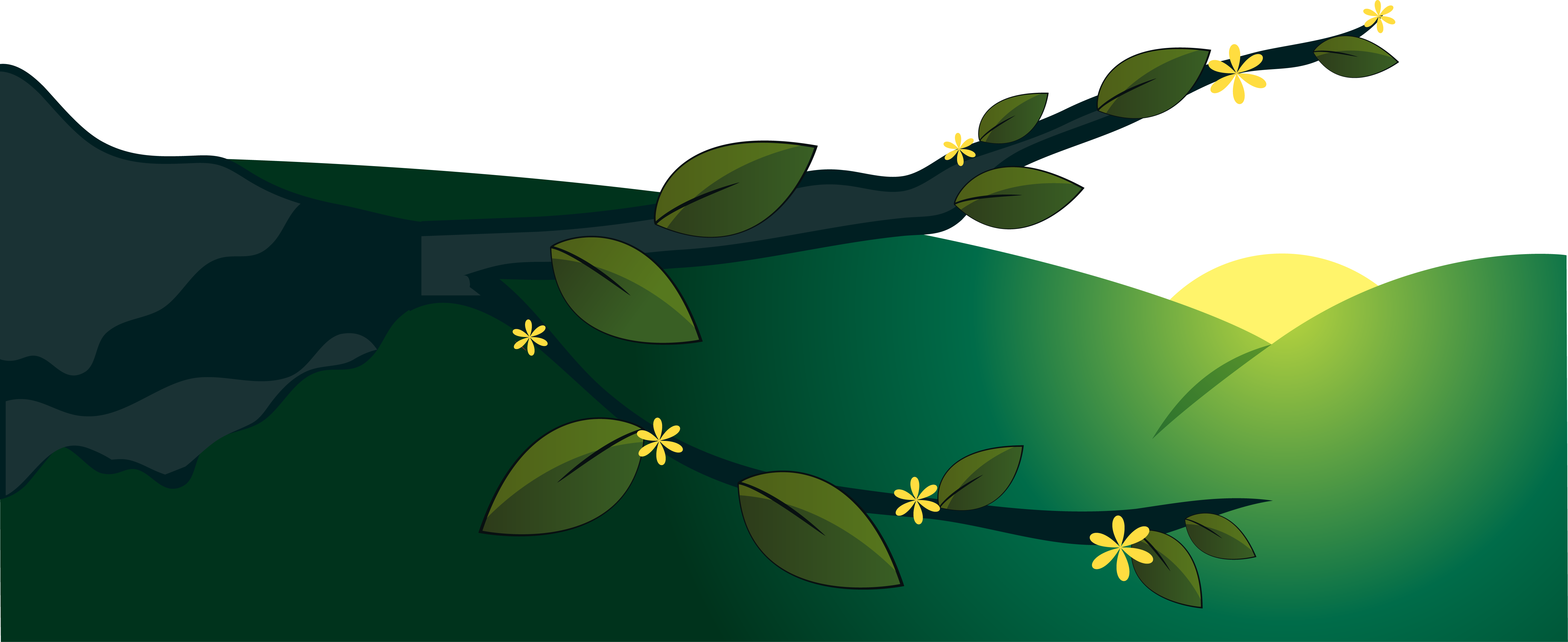 Cartoon Euclidean Vector - Euclidean Vector (5241x2145)