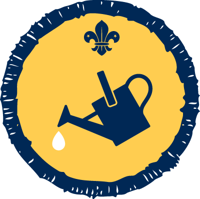 Beavers Book Reader Badge (400x397)