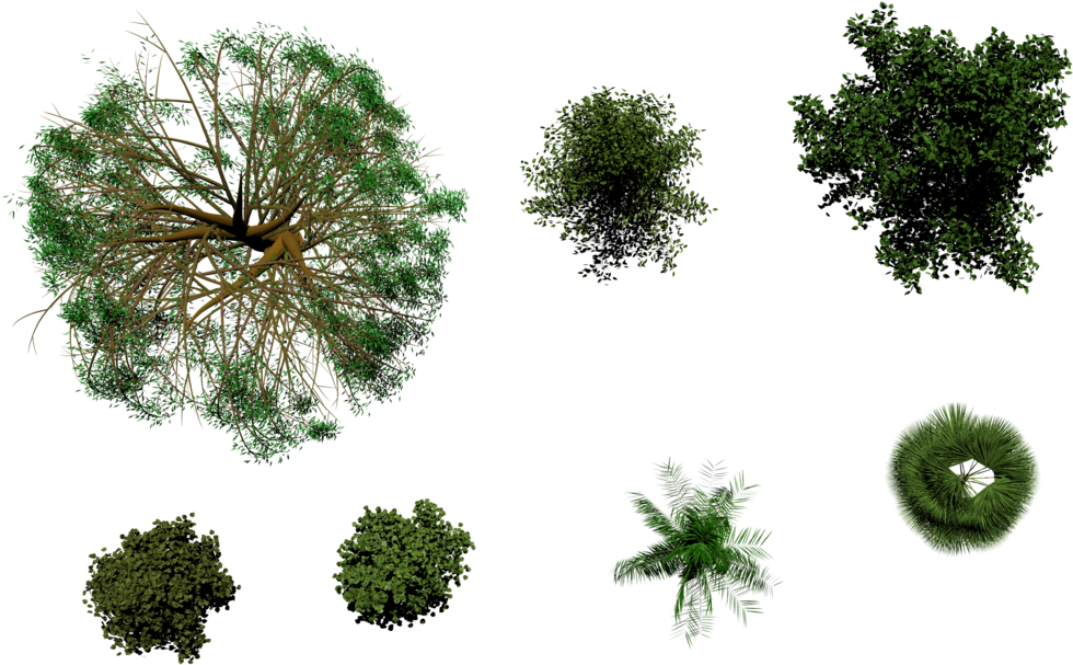 Trees Top View By Thobar On Deviantart - Tree Top View Deviantart (1024x640)
