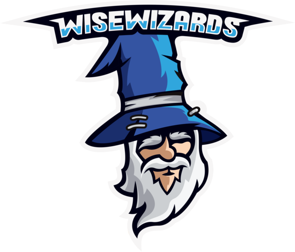 Wisewizards Logo (588x503)
