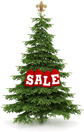 Treesale2 - Pine Tree Stock (300x466)
