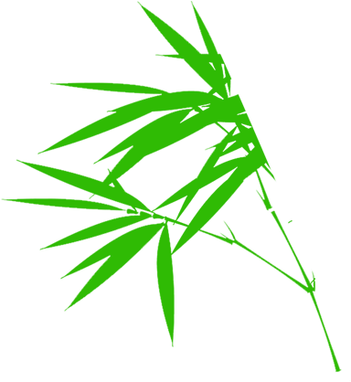 Illustration - Bamboo - Illustration (591x591)