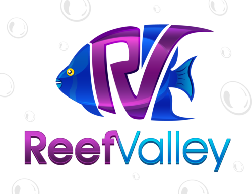 Reef Valley - Reef Valley (500x386)