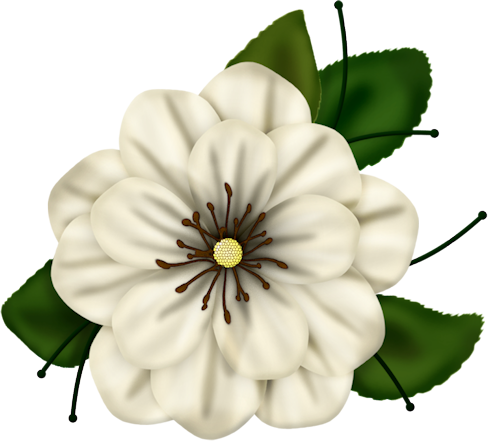 Clip Art (488x441)
