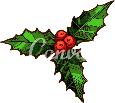 Mistletoe Icon - Icon (800x800)