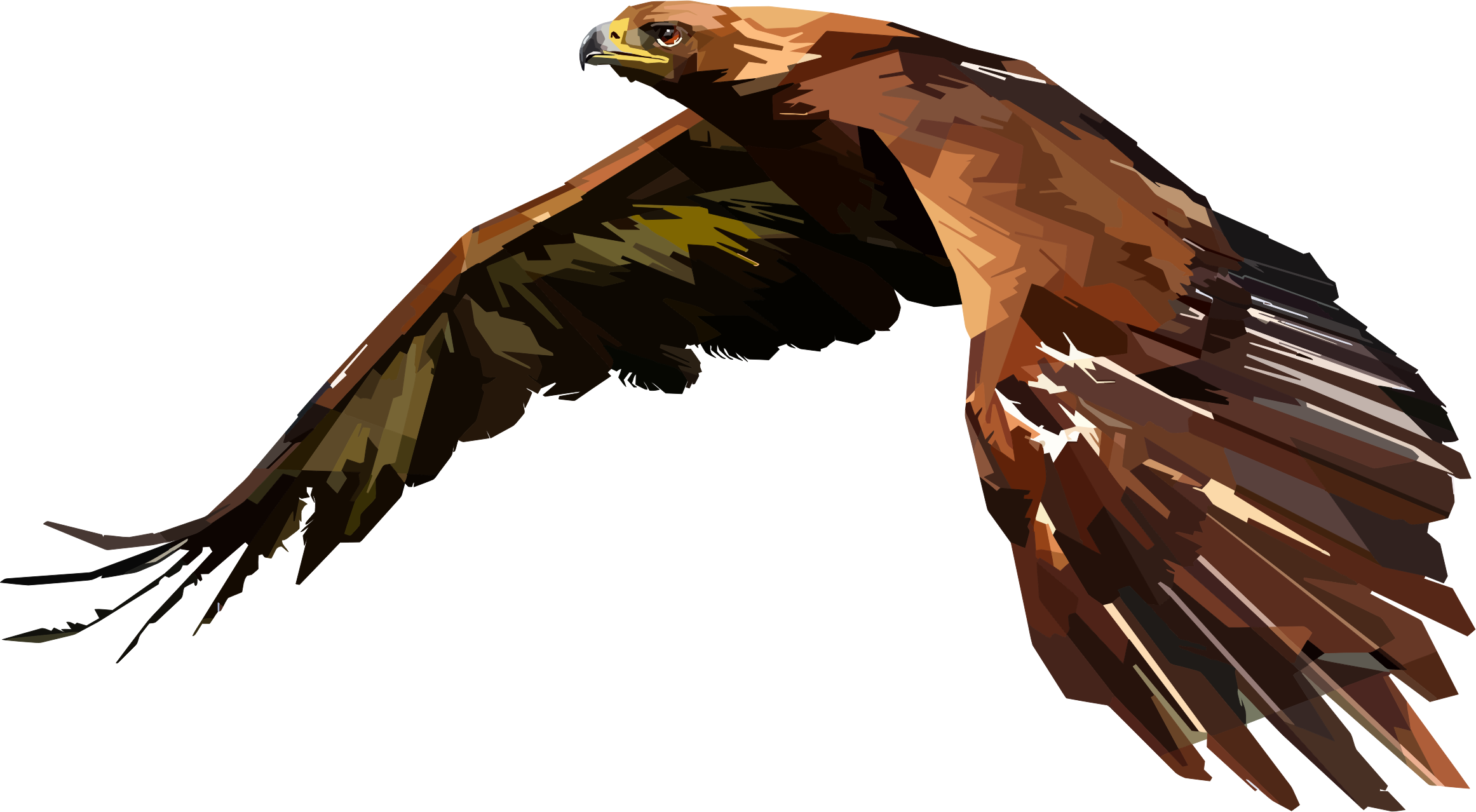 Big Image - Hawk Clipart (2323x1278)