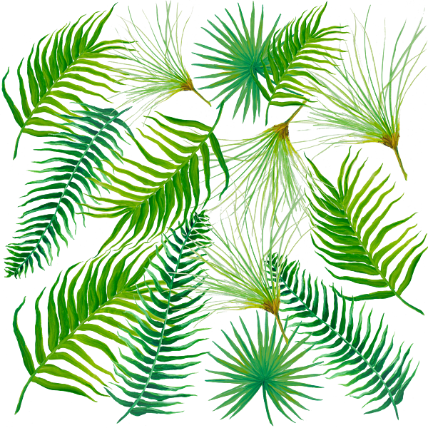 Bleed Area May Not Be Visible - Palm Tree (600x600)