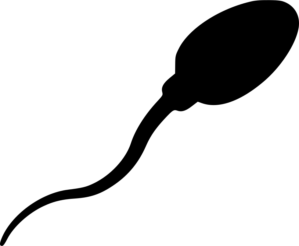 Sperm Comments - Sperm Clipart Transparent (980x808)