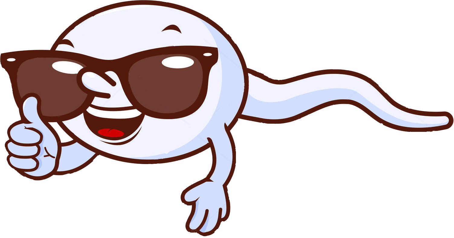 Sperm Characters (1503x789)