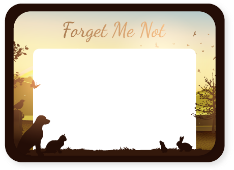 No Practice Input Needed After It Goes Live - Silhouette (654x332)