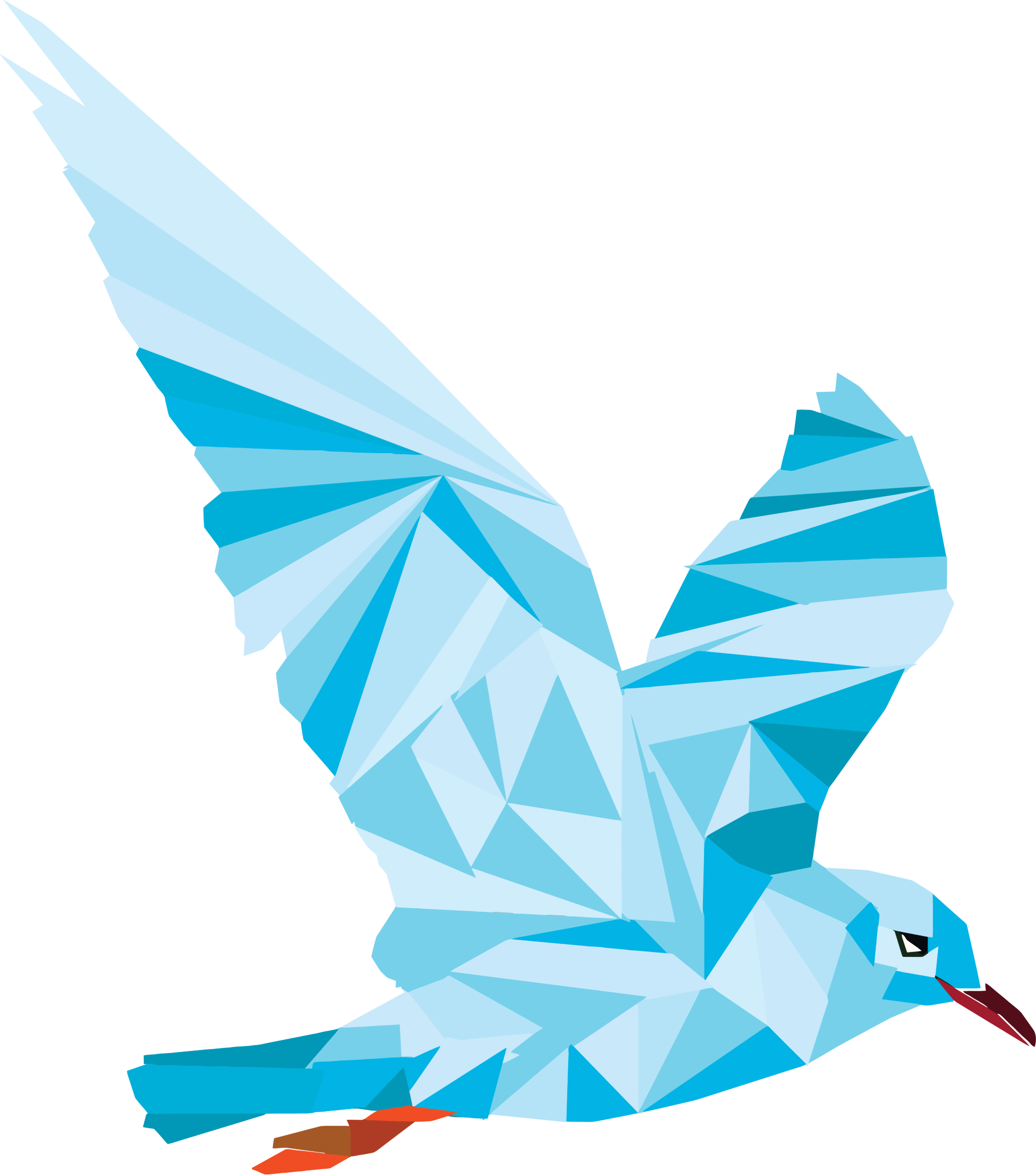 Big Image - Pigeons And Doves (2062x2339)