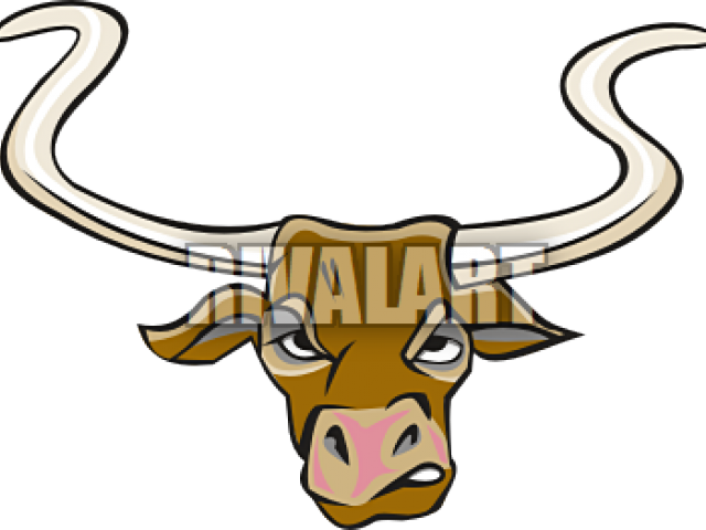 Texas Longhorn (640x480)