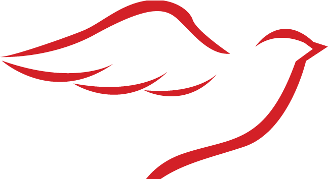 Faith United Church Of Christ - Church Bird Logo Png (772x354)
