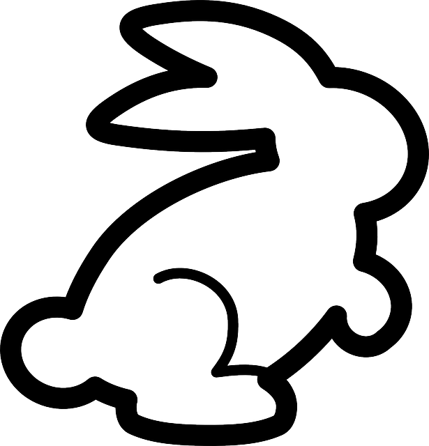 Rabbit - Stupid Face Rabbit Png (615x640)