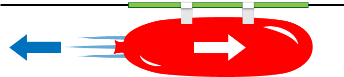 Balloon - Balloon Rocket Newton's Third Law (782x235)