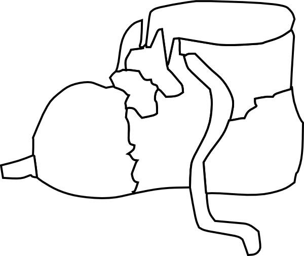 Boot (600x505)