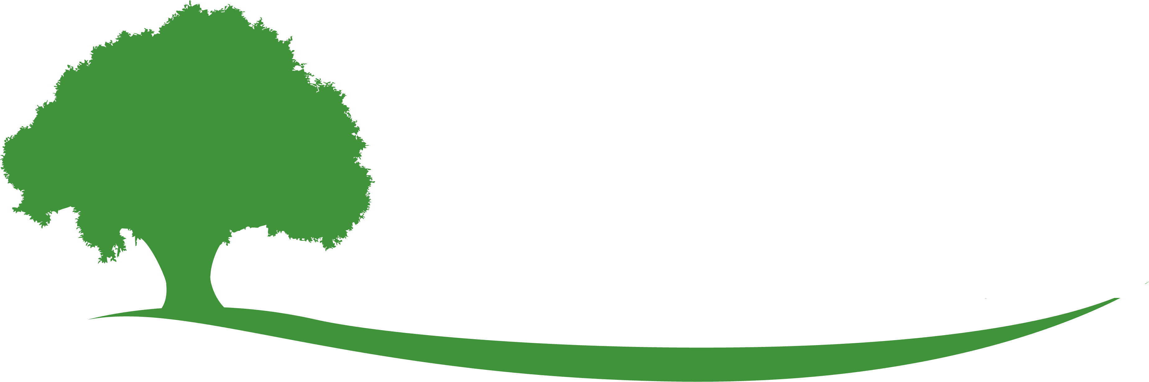 Logo - Houston (3745x1297)
