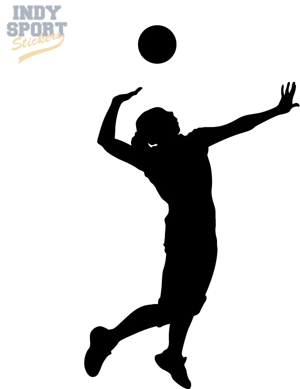 Volleyball Silhouette (800x800)