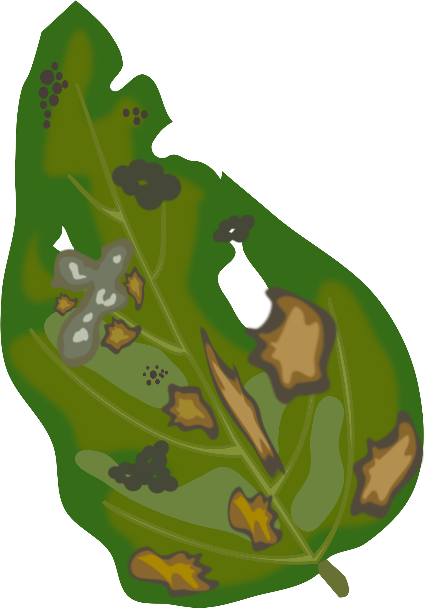 Big Image - Leaf Spot (2400x2400)