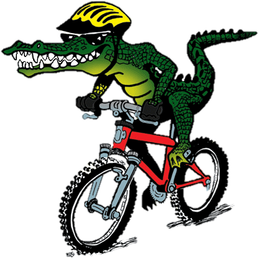 Mountain Bike (414x451)