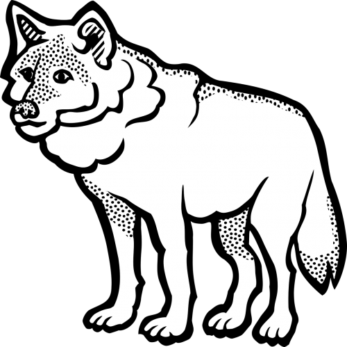 Vector Graphics - Wolf Clip Art (500x499)