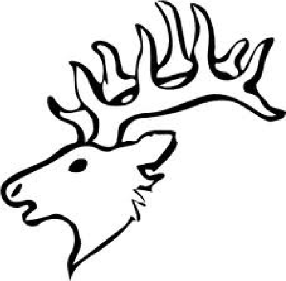 Deer Head For Scroll Saw Pattern - Easy Elk Head Drawing (771x620)