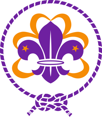 Guide, Scout, And Scouting Image - Fleur De Lis Boy Scouts (326x373)