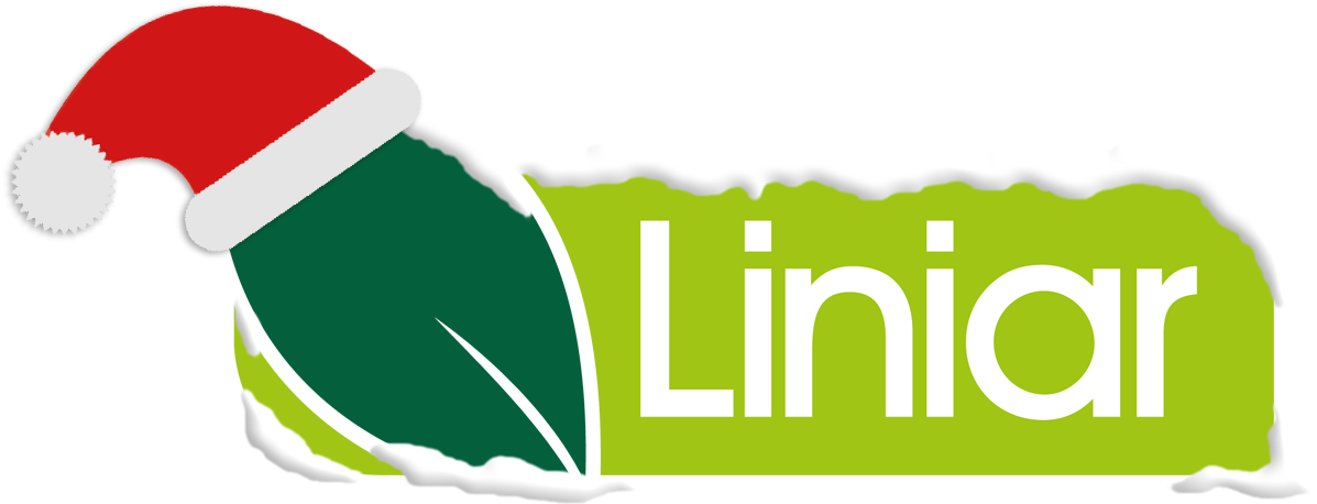 Linear Windows (1262x527)