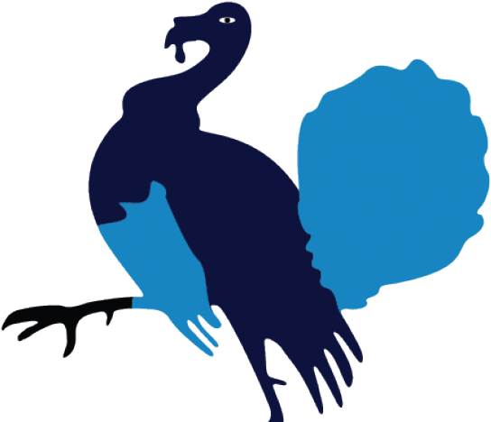 Running Turkey Clipart - Vector Graphics (640x480)