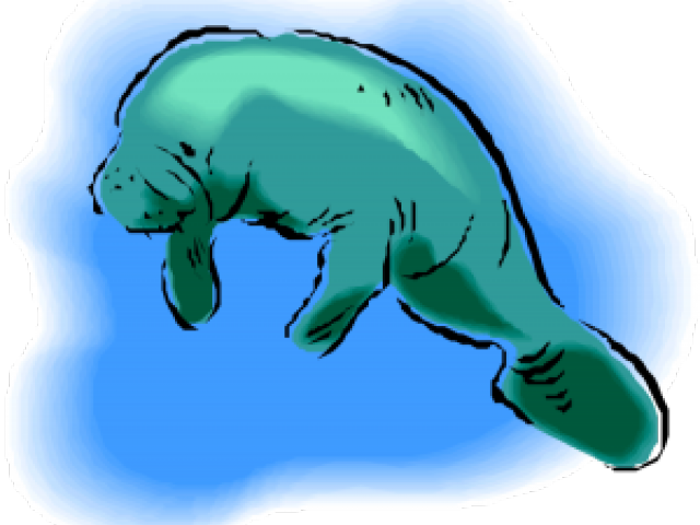 Sea Cow (640x480)