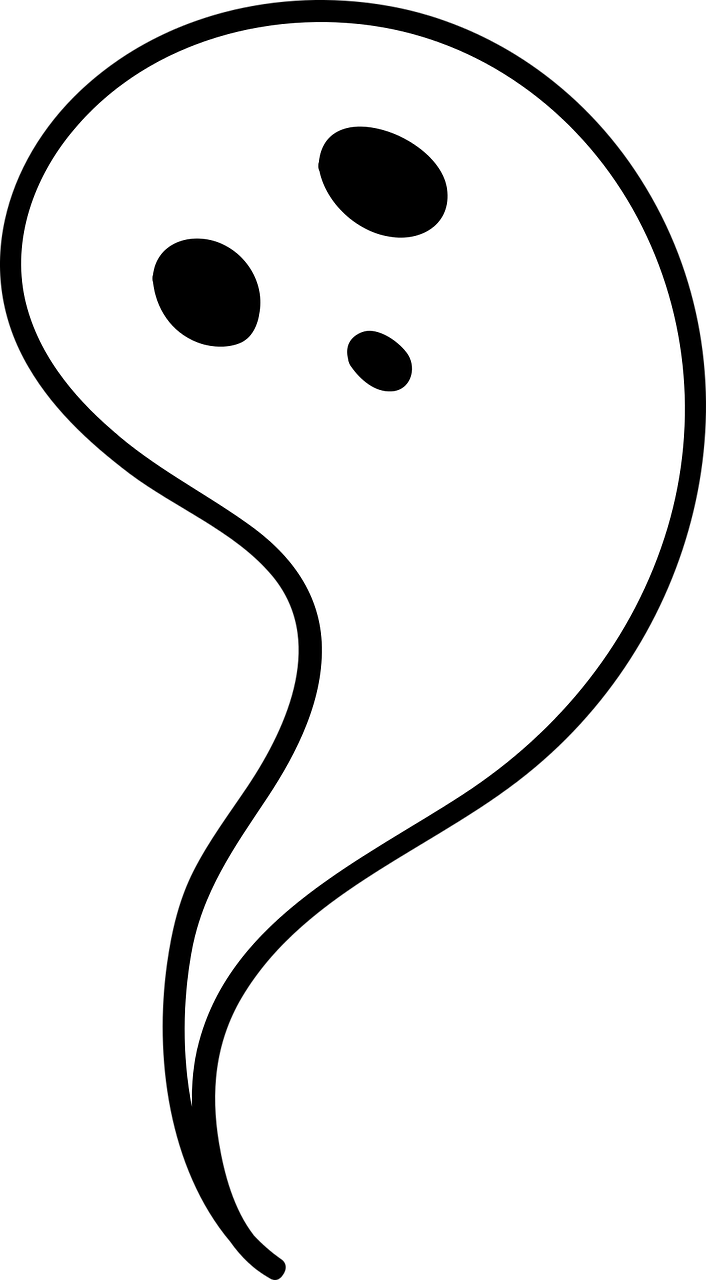 Ghost, - Espiritu Png (706x1280)