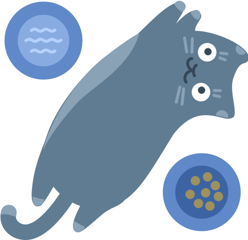Cat (512x512)