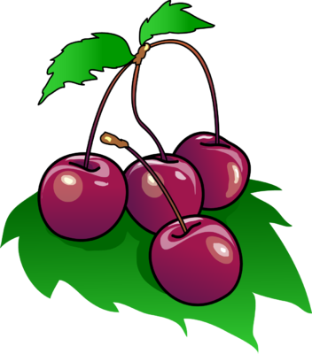 Cherries - Clip Art (352x400)