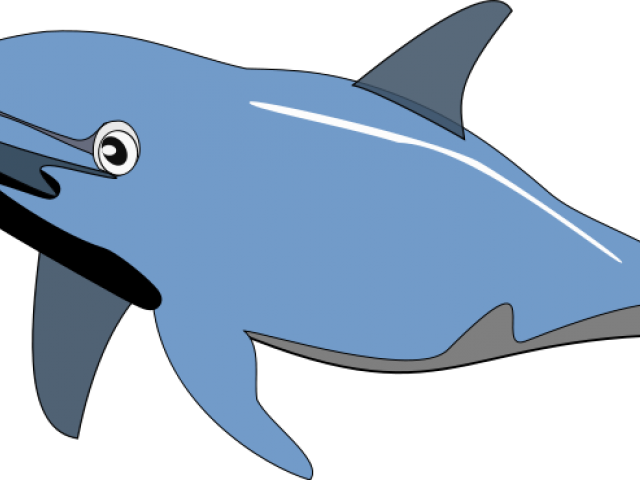 Dolphin Clip Art (640x480)