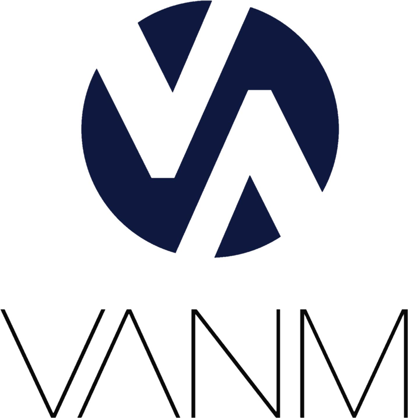 Vanm Roadmap - Vanm Roadmap (1475x1475)